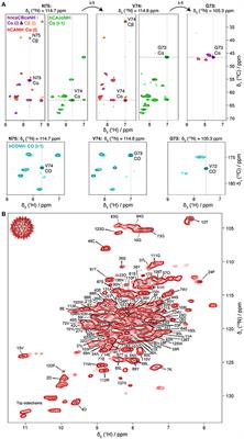 100 kHz MAS Proton-Detected NMR Spectroscopy of Hepatitis B Virus Capsids